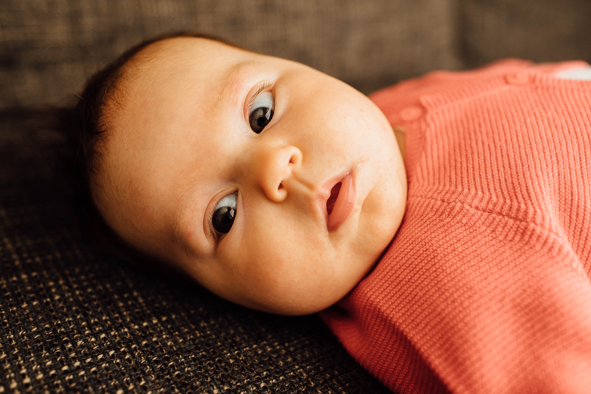 Export x3 5D4 0451 Familyfotoshooting 2020 Rossbach